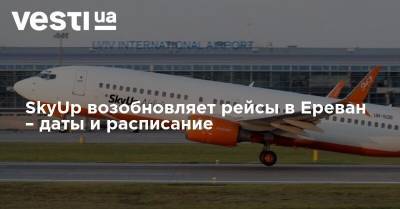 SkyUp возобновляет рейсы в Ереван – даты и расписание - vesti.ua - Киев - Армения - Ереван
