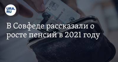 Елен Бибиков - В Совфеде рассказали о росте пенсий в 2021 году - ura.news