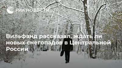 Роман Вильфанд - Вильфанд рассказал, ждать ли новых снегопадов в Центральной России - ria.ru - Москва - Россия - Центральная