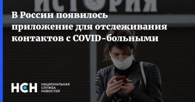 В России появилось приложение для отслеживания контактов с COVID-больными - nsn.fm - Россия