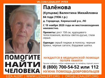 В Киришском районе без вести пропала 84-летняя женщина с потерей памяти - ivbg.ru - Украина - Ленобласть