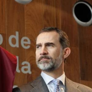 король Филипп VI (Vi) - Король Испании ушел на самоизоляцию - reporter-ua.com - Испания