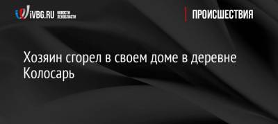 Хозяин сгорел в своем доме в деревне Колосарь - ivbg.ru - Ленинградская обл. - р-н Кировский