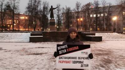 Еще одна нижегородка вышла на одиночный пикет против дистанционного обучения - vgoroden.ru - Нижний Новгород