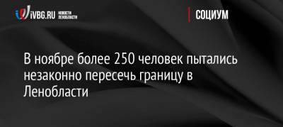 В ноябре более 250 человек пытались незаконно пересечь границу в Ленобласти - ivbg.ru - Россия - Ленинградская обл. - Санкт-Петербург - Эстония