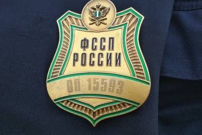Мать погасила задолженность по алиментам к совершеннолетию дочери - tula.mk.ru - Россия - Тульская обл. - район Щекинский