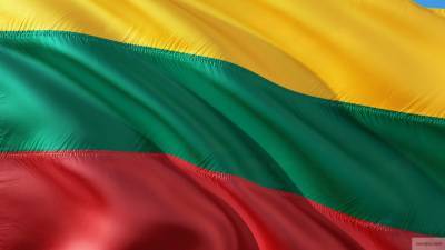 Ингрида Шимоните - Парламент Литвы утвердил кандидатуру Шимоните на пост премьер-министра - politros.com - Литва - Вильнюс - Парламент