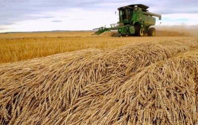 Урожай в Украине превысил ожидания - korrespondent.net - Украина - Аграрии