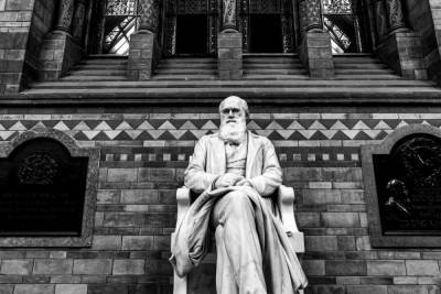 Чарльз Дарвин - Две рукописи Дарвина пропали из Кембриджского университета - mk.ru