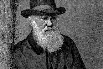 Чарльз Дарвин - Кражу рукописей Чарльза Дарвина случайно заметили спустя 20 лет - rusjev.net