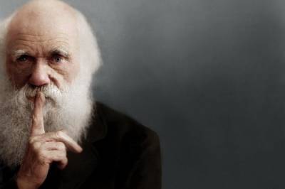 Чарльз Дарвин - Заметили через 20 лет: Из библиотеки английского университета исчезли дорогостоящие записные книжки Дарвина - vkcyprus.com