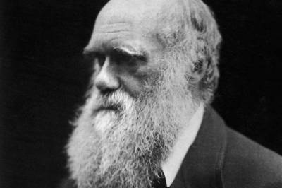 Чарльз Дарвин - Кембридж заявил о краже рукописей Дарвина через 20 лет после их пропажи - aif.ru