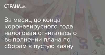 Сергей Марченко - За месяц до конца коронавирусного года налоговая отчиталась о выполнении плана по сборам в пустую казну - strana.ua