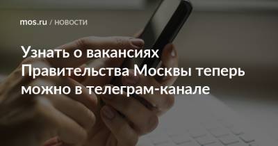 Узнать о вакансиях Правительства Москвы теперь можно в телеграм-канале - mos.ru - Москва