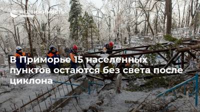 В Приморье 15 населенных пунктов остаются без света после циклона - realty.ria.ru - Москва - Россия - Приморье край - Владивосток