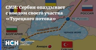 Владимир Путин - Реджеп Эрдоган - СМИ: Сербия опаздывает с вводом своего участка «Турецкого потока» - nsn.fm - Россия - Краснодарский край - Турция - Венгрия - Сербия