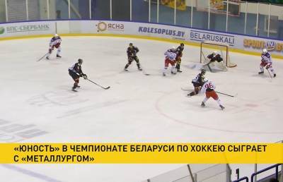 Сегодня продолжится чемпионат Беларуси по хоккею - ont.by - Белоруссия - Гомель