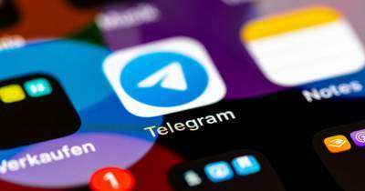 Специалисты предупредили о типах мошенничества в Telegram - ren.tv