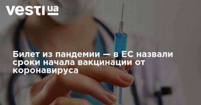 Билет из пандемии — в ЕС назвали сроки начала вакцинации от коронавируса - vesti.ua - Турция - Ляйен