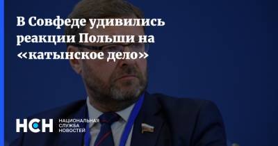 Константин Косачев - В Совфеде удивились реакции Польши на «катынское дело» - nsn.fm - Россия - Германия - Польша - Тверская обл.