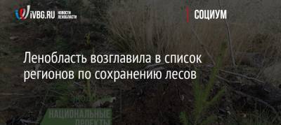 Ленобласть возглавила в список регионов по сохранению лесов - ivbg.ru - Россия - Ленинградская обл.