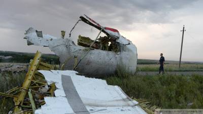 Хендрик Стейнхейс - Голландский суд не одобрил рассмотрение альтернативных версий крушения MH17 - inforeactor.ru - Голландия - Малайзия - Куала-Лумпур - Амстердам
