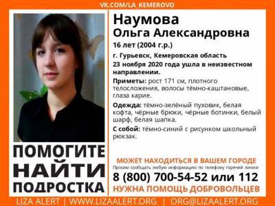 В Кузбассе волонтёры ищут добровольцев для поисков пропавшей школьницы - gazeta.a42.ru - Гурьевск