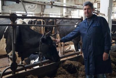 «Надо любить животных, остальное приложится». Зоотехник Сергей Поздеев выращивает высокопродуктивное молочное стадо - iskra-kungur.ru