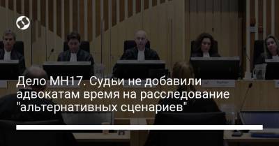 Хендрик Стинхейс - Дело MH17. Судьи не добавили адвокатам время на расследование "альтернативных сценариев" - liga.net - Россия