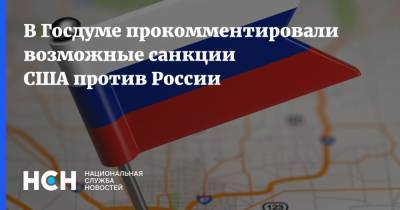 Елена Панина - В Госдуме прокомментировали возможные санкции США против России - nsn.fm - Россия - Китай - США