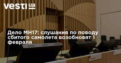 Олег Пулатов - Дело MH17: слушания по поводу сбитого самолета возобновят 1 февраля - vesti.ua - Украина - Голландия - Гаага