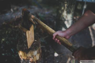 Упавшее во время рубки дерево раздавило мужчину в Калужской области - newinform.com - Калужская обл.