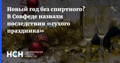 Новый год без спиртного? В Совфеде назвали последствия «сухого праздника» - nsn.fm - Россия - Запрет
