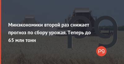 Тарас Высоцкий - Минэкономики второй раз снижает прогноз по сбору урожая. Теперь до 65 млн тонн - thepage.ua - Украина - Аграрии