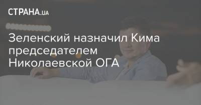 Владимир Зеленский - Зеленский назначил Кима председателем Николаевской ОГА - strana.ua - Харьков