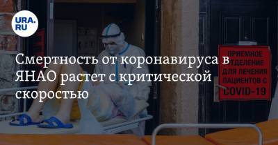 Смертность от коронавируса в ЯНАО растет с критической скоростью - ura.news - Ноябрьск - Салехард - окр. Янао