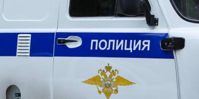 Воры обокрали особняк владельца питерской компании по защите от воров - ruposters.ru - Россия - Ленинградская обл. - Санкт-Петербург