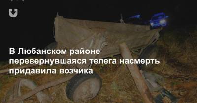 В Любанском районе перевернувшаяся телега насмерть придавила возчика - news.tut.by - район Любанский