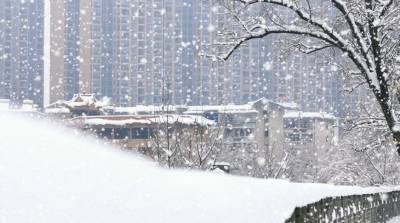 Почти 5000 человек пострадали от снежной бури в Китае - grodnonews.by - Китай - район Внутренняя Монголия