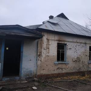 На пожаре в Киевской области погибли три человека. Фото - reporter-ua.com - Киевская обл. - район Вышгородский
