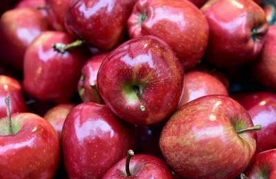 Эксперт: Трейдеры ожидают роста цен на яблоки - agroportal.ua - Украина