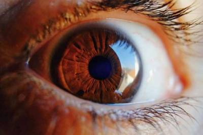 Ученые рассказали, как цвет глаз способен предсказывать заболевания - lenta.ua
