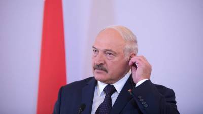 Александр Лукашенко - Юрий Караев - Лукашенко расширил права своих уполномоченных представителей - russian.rt.com - Белоруссия - Минск