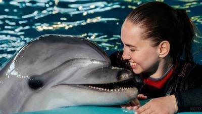 Почему Дельфины обладают удивительными способностями «самоконтроля» - argumenti.ru