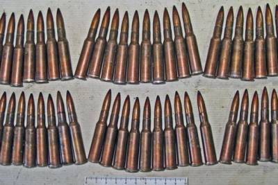 Более 800 патронов и самодельный огнестрел нашли у жителя Хабкрая - hab.aif.ru - Россия - Хабаровский край