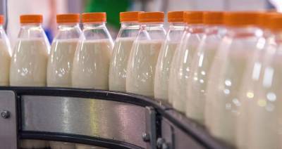 Белорусские молочники выбирают российский рынок - produkt.by - Россия - Белоруссия - Сингапур