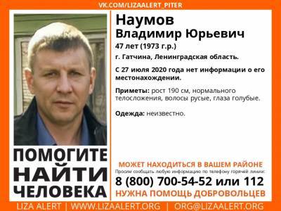 В Гатчине без вести пропал 47-летний мужчина - ivbg.ru - Ленобласть