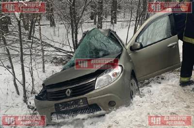 Семейная пара из Десногорска попала в смертельное ДТП в Подмосковье - соцсети - rabochy-put.ru - Московская обл. - Десногорск