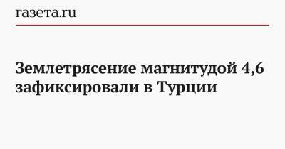 Землетрясение магнитудой 4,6 зафиксировали в Турции - gazeta.ru - США - Турция