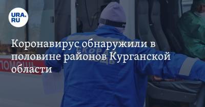 Коронавирус обнаружили в половине районов Курганской области - ura.news - Курганская обл. - Шадринск - округ Шумихинский